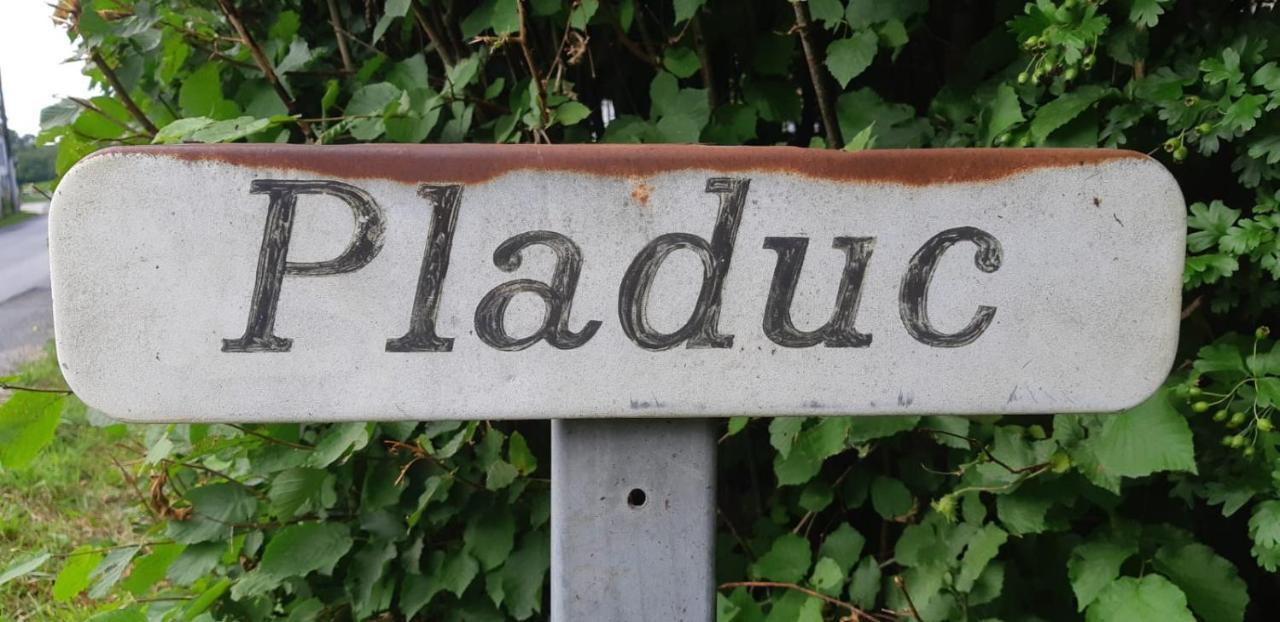 Bed and Breakfast Domaine De Pladuc Lachaise Экстерьер фото
