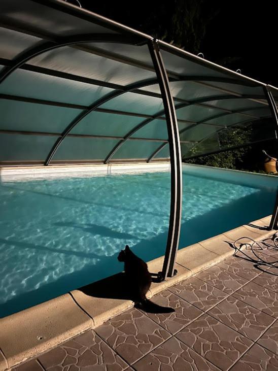 Bed and Breakfast Domaine De Pladuc Lachaise Экстерьер фото