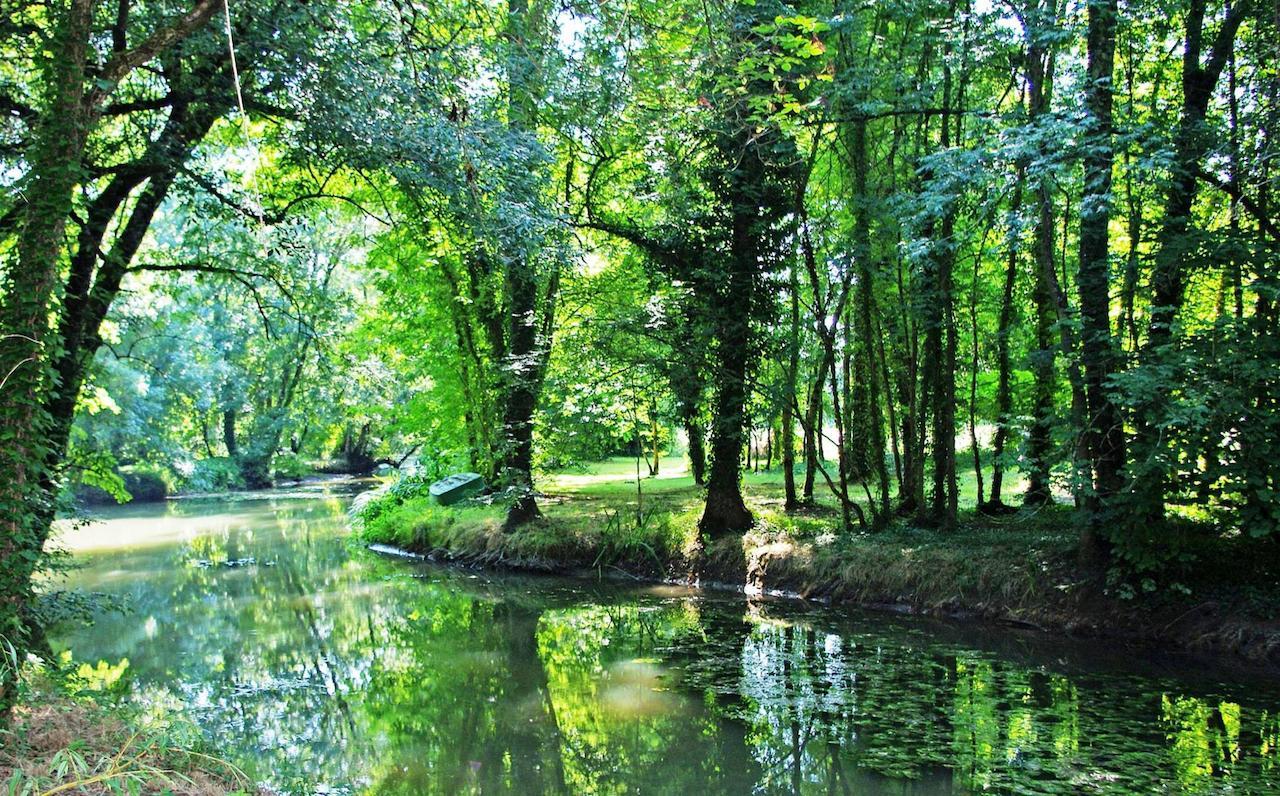 Bed and Breakfast Domaine De Pladuc Lachaise Экстерьер фото