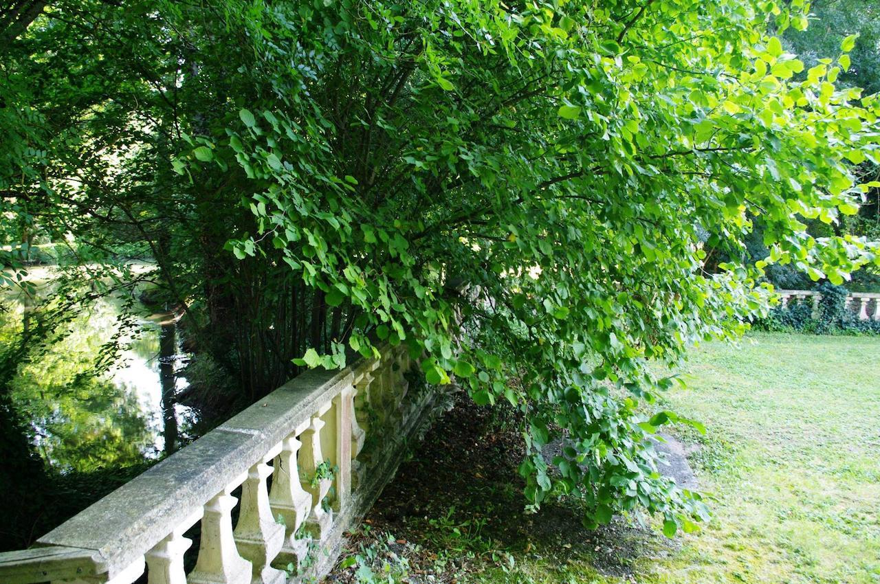 Bed and Breakfast Domaine De Pladuc Lachaise Экстерьер фото